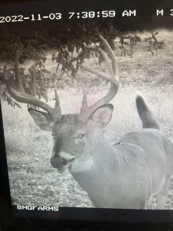 68946726814__DF071D6B-FB8F-4F78-A971-900432BF64AB