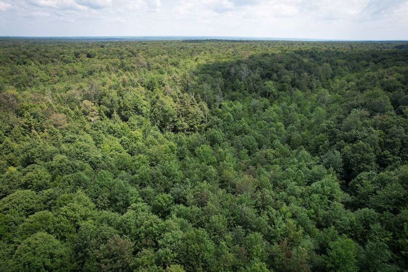 Oswego_100_Roof_Photos_43