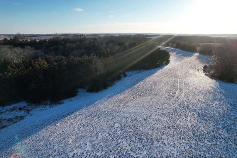 DJI_0477
