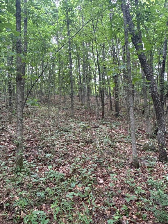 PIC 6 