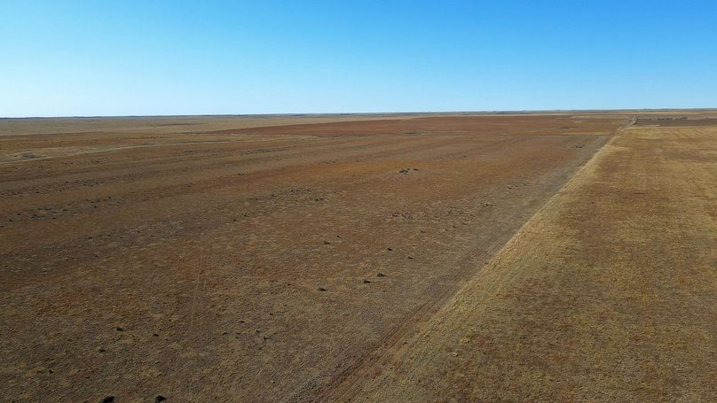 DJI_0463