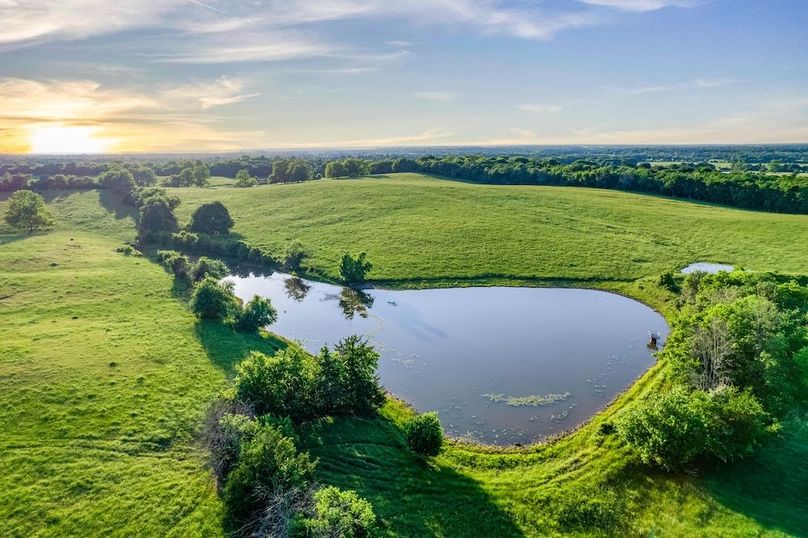 Fannin County- 134.4 acres-28