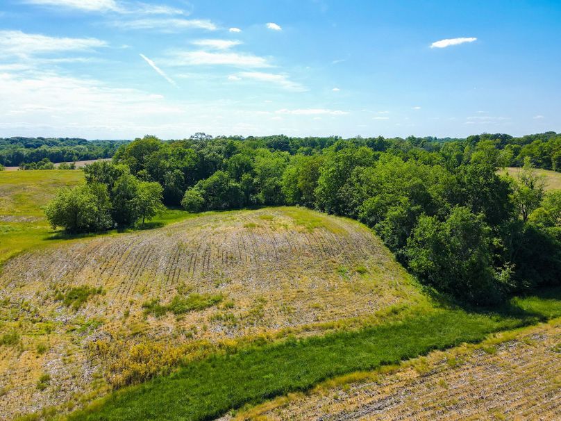 Copy of st clair 25 auction(11)