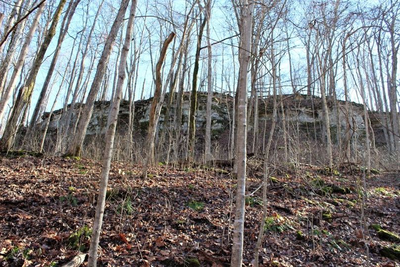 037 some of the north facing limestone bluffs along the south boundary