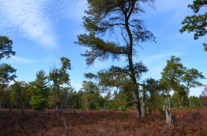 Screenshot 2025-11-14 at 11.35.01 AM