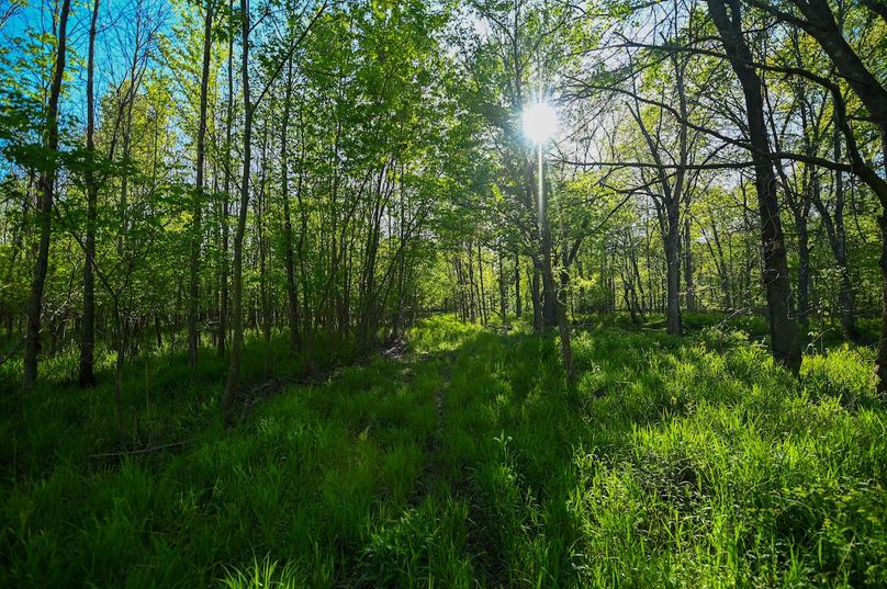 vandalia 450 (2)-3048