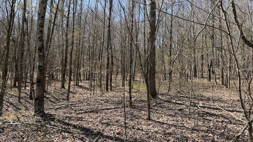 Butler 118 Capella34