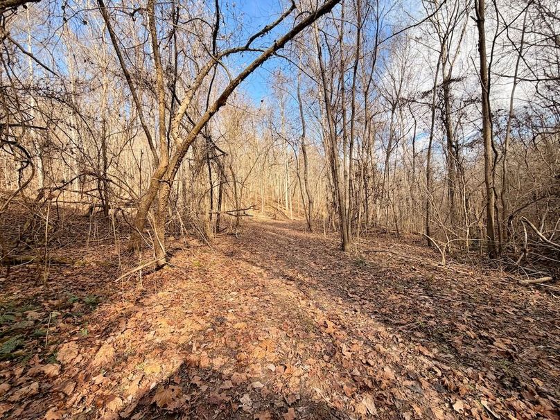 Roane Co TN 396 20251127_20