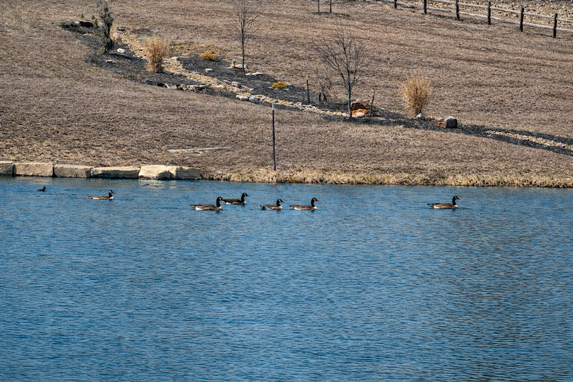 Copy of 17.3 Platte MO 225 Tract 1