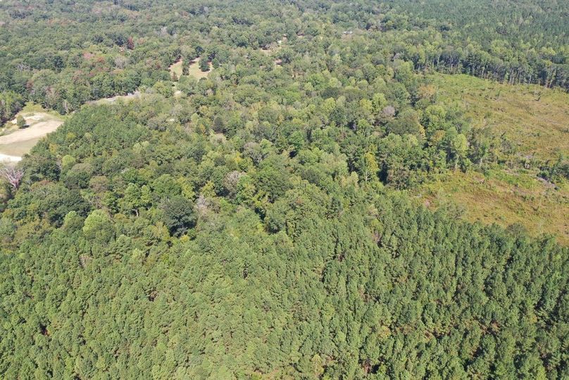 6CF85939-FD85-4581-92C7-13E306A82988_1_105_c