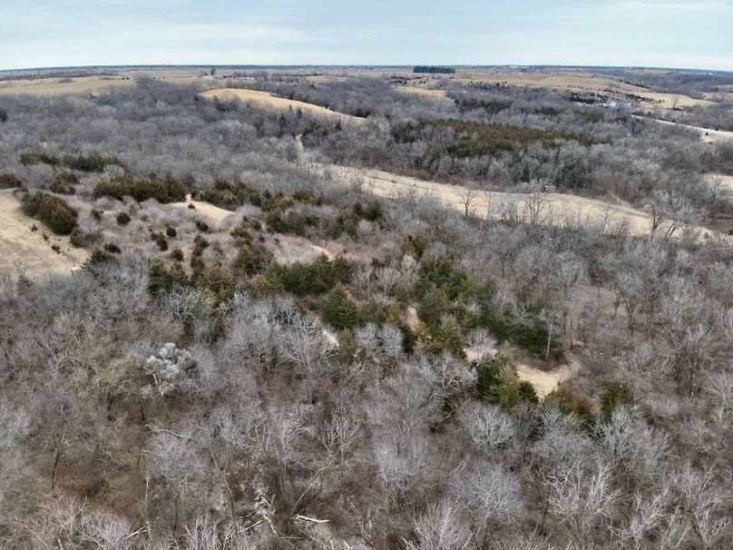 A9032F8F-3B81-41E3-970D-47B22845F293_1_201_a