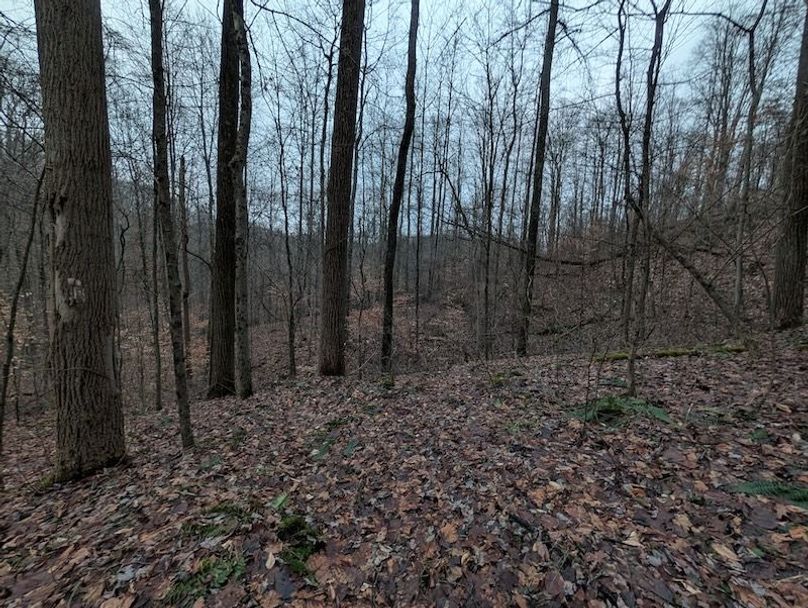 PXL_20260107_220720673.MP