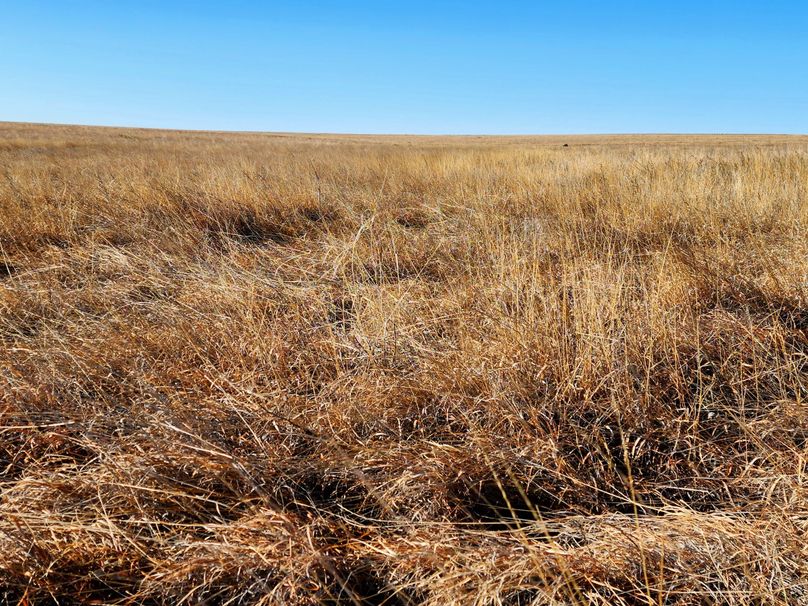 Copy of 20230208_090526