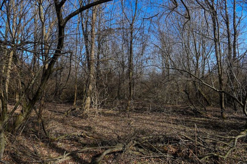 vandalia 450 (2)-1719