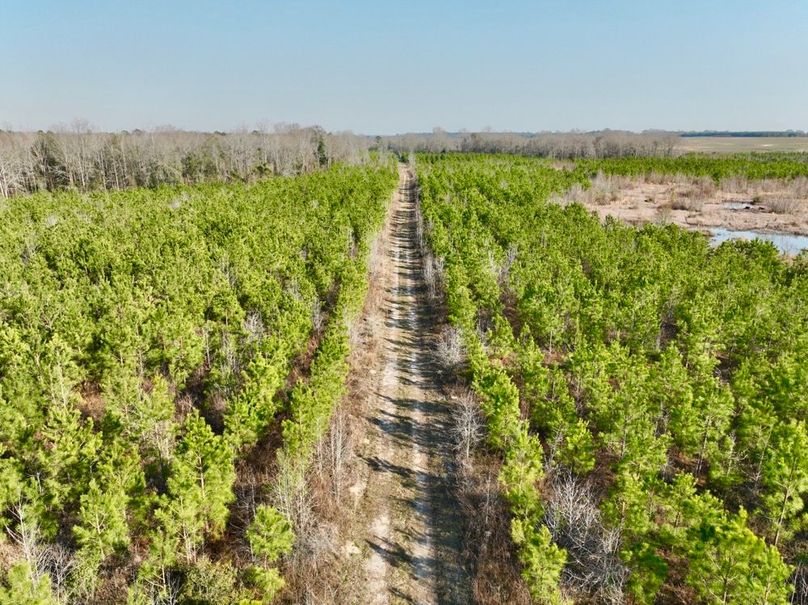 dji_fly_20250225_161048_462_1740517918587_photo