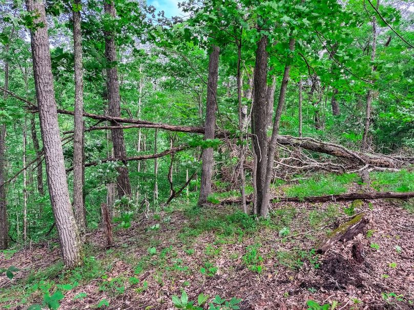 Wirt, WV 137.45 AC Full-52