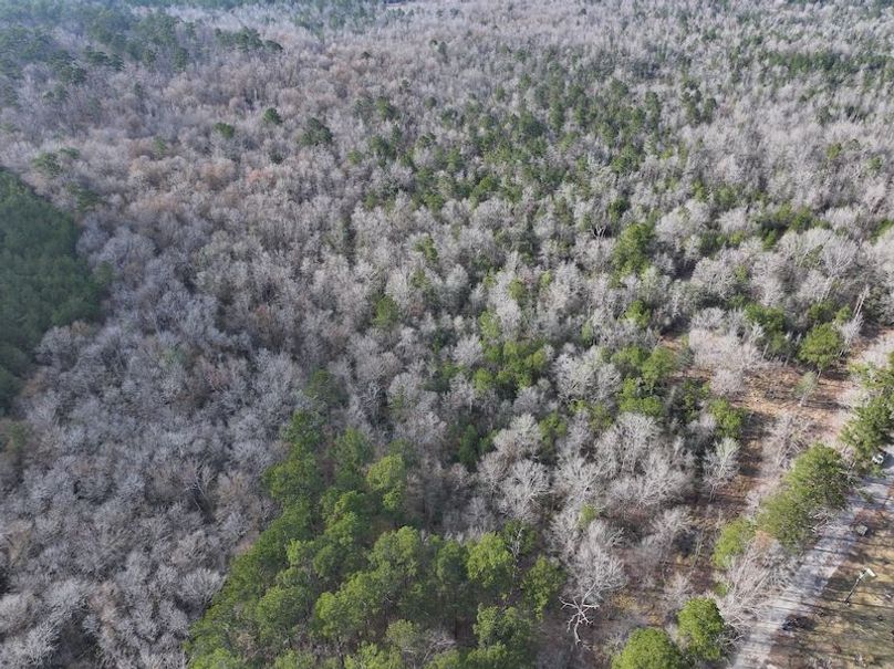 dji_fly_20260212_141120_0065_1771284240244_photo