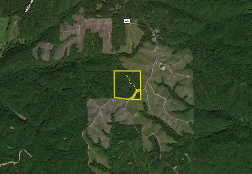 Screenshot 2026-03-26 at 12.17.44 PM