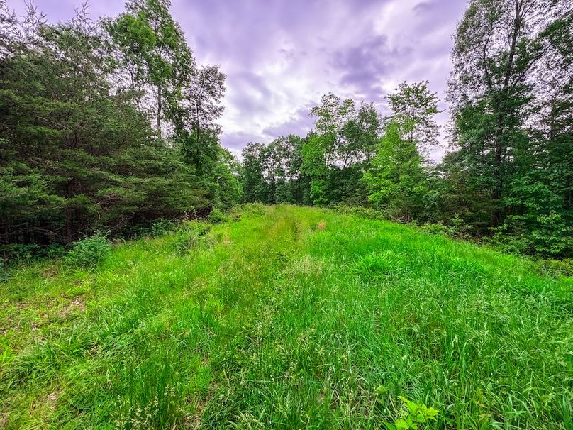 Tyler, WV 313.87 AC -15