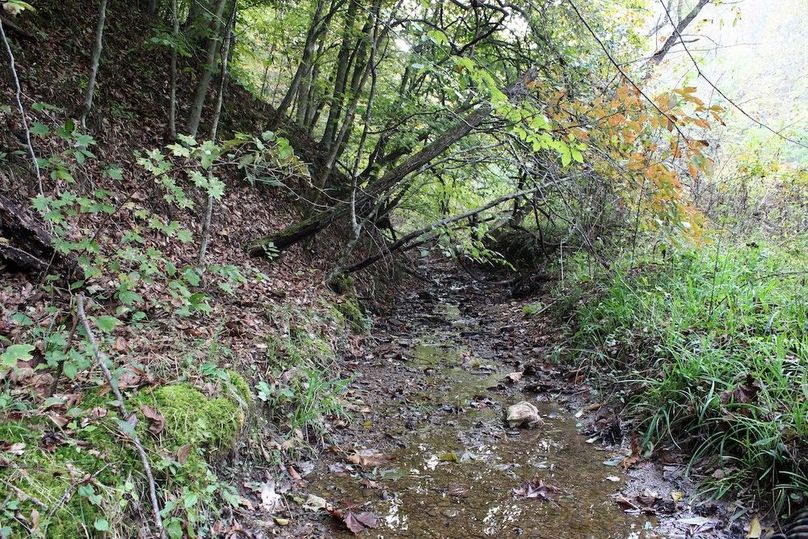 002 seasonal stream in the center of the property