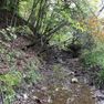 002 seasonal stream in the center of the property