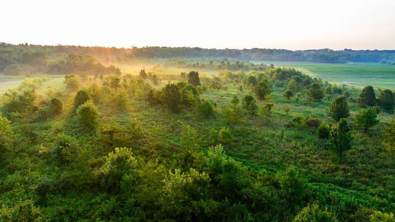 DJI_20250807174309_0013_D
