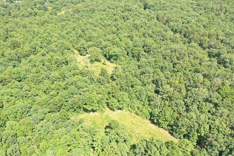 DJI_0015