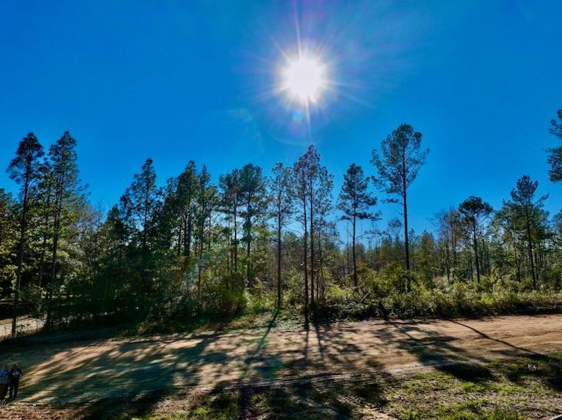 E1A0B3C0-F101-4E62-BEEE-F775066F16AC_1_201_a