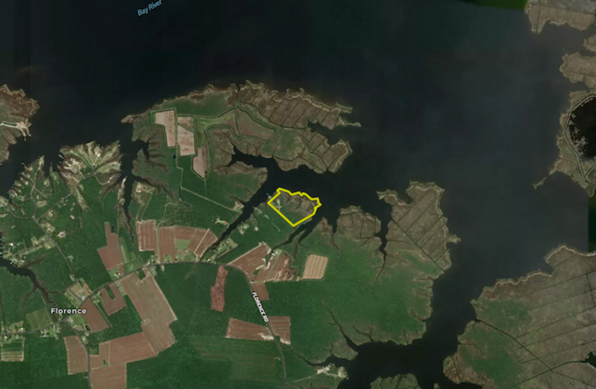 Screenshot 2026-03-25 112011