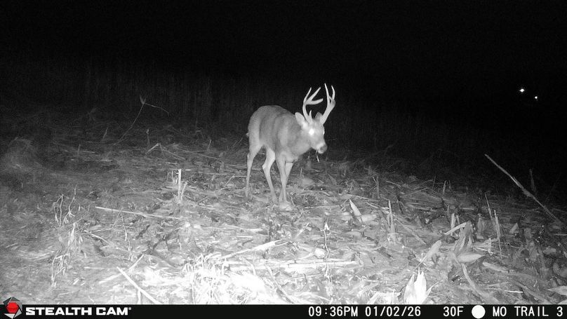 2026010221360701003453_ColorizationType.none