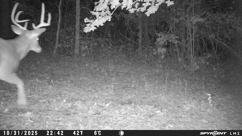 Spypoint_20251107_060836