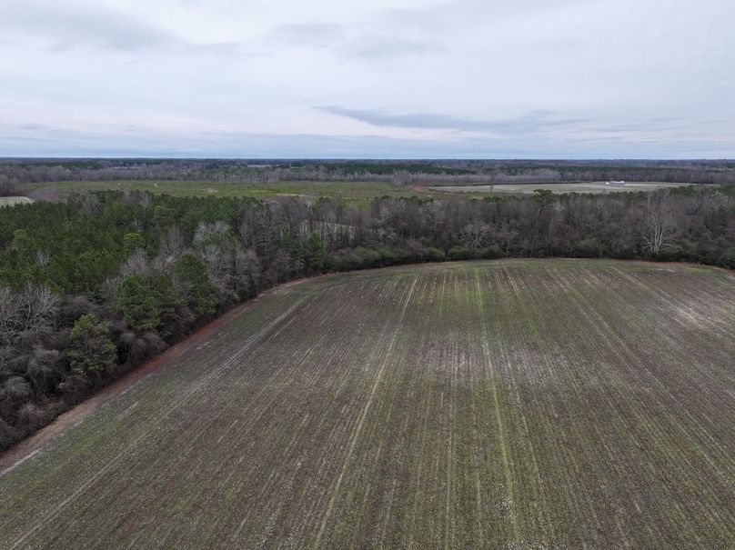 dji_fly_20231228_113538_0044_1703788990724_photo