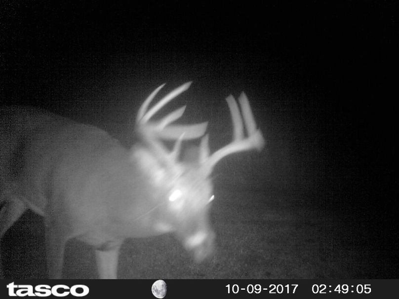 66721CB5-C604-49A0-A97E-6286CFEB17F1~photo copy