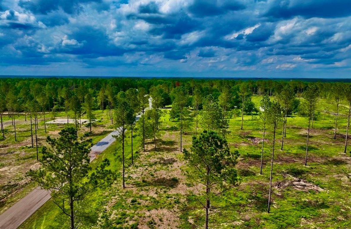 6F990603-558E-4596-B4CC-E05F8B1B18A4_1_105_c