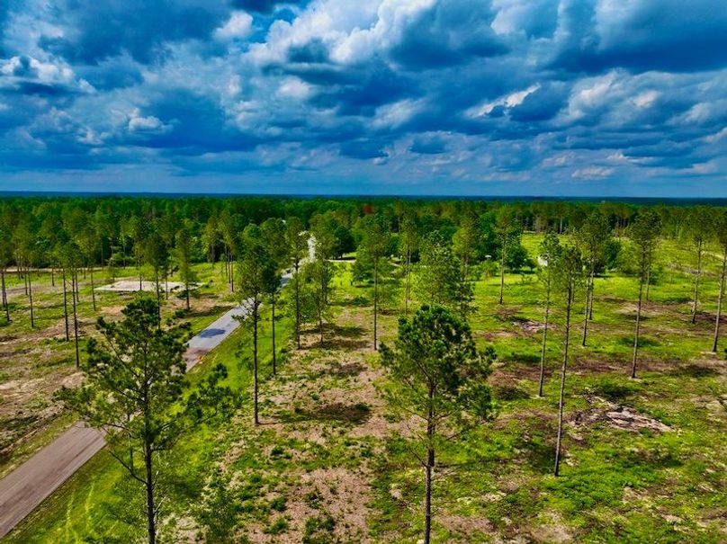 6F990603-558E-4596-B4CC-E05F8B1B18A4_1_105_c