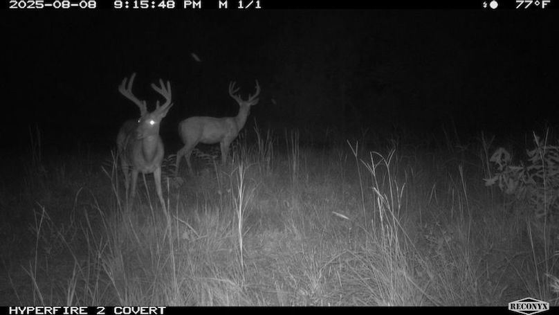 TwinStatesTrailCam25