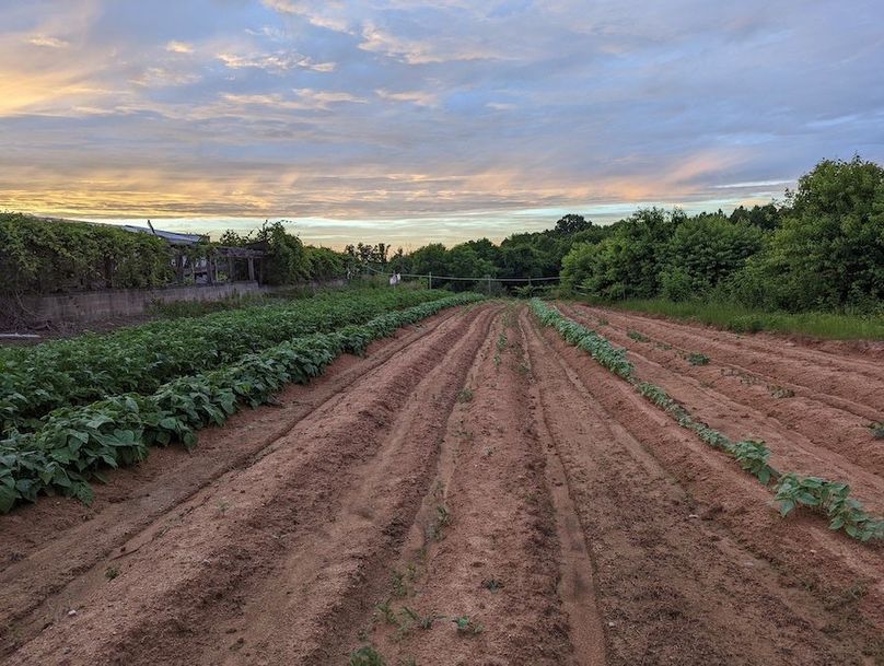 PXL_20220604_002608131