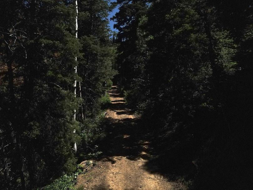 4 photo sanpete 795