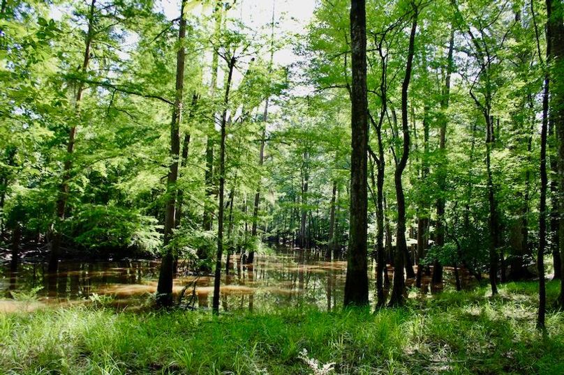 CCA763B2-284B-43DC-AFA6-45FE79445E6D_1_201_a