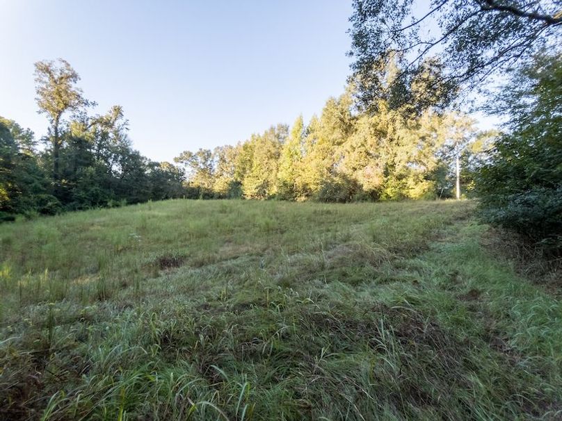 Hinds Co - 78 - Newman-38