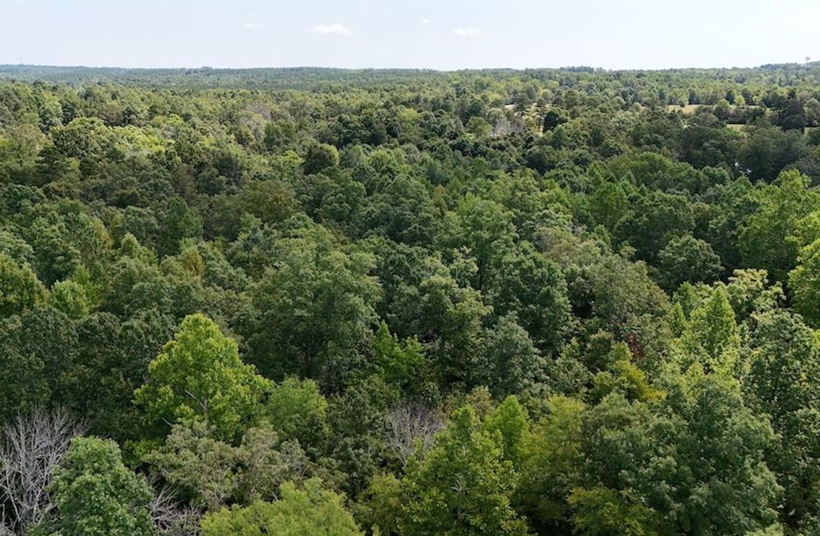 DJI_20250728112807_0147_D