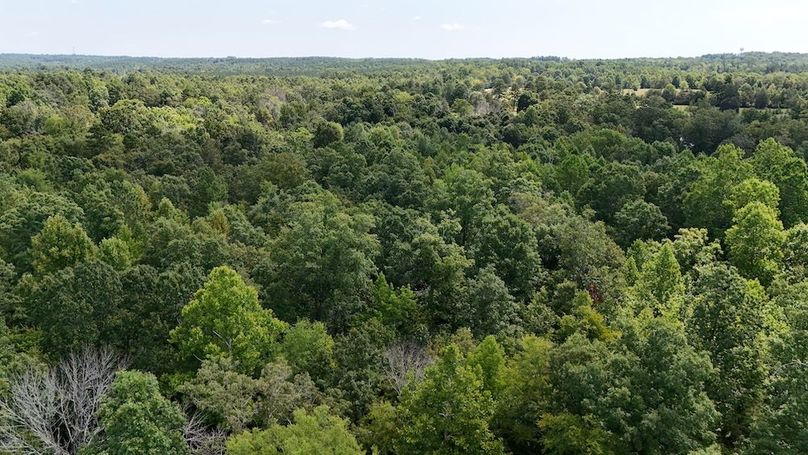 DJI_20250728112807_0147_D