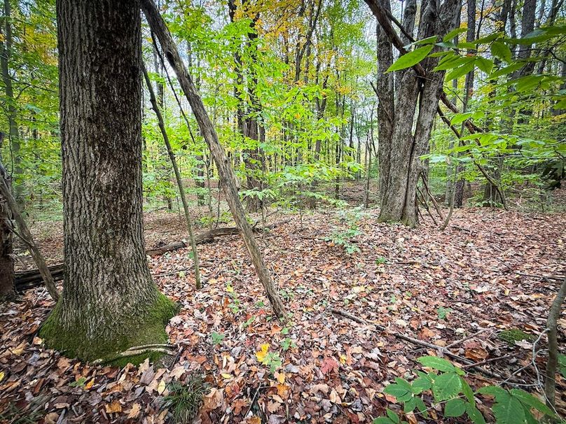 Oswego NY 6.68 Photos 34