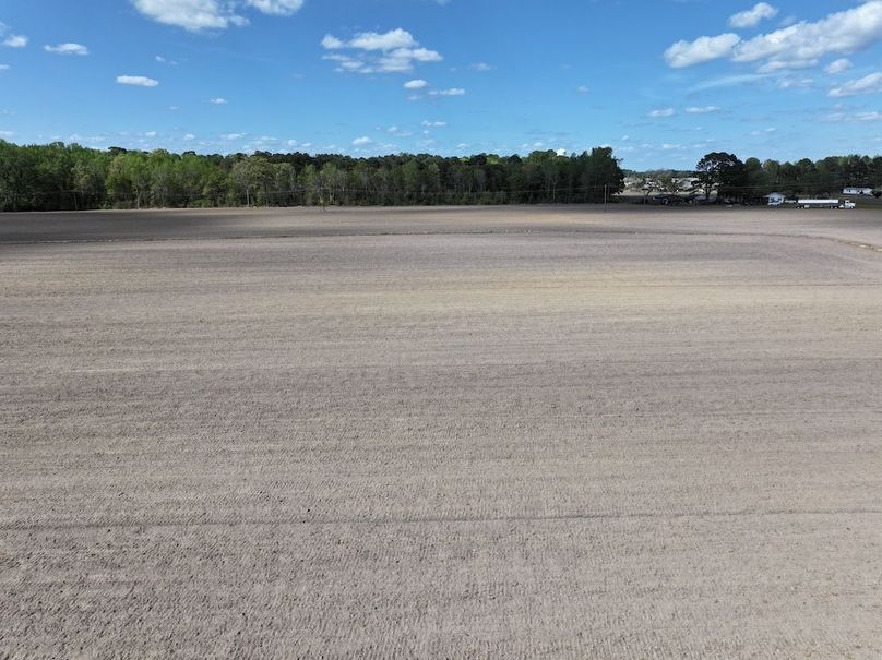 dji_fly_20260315_120808_0525_1775758693531_photo