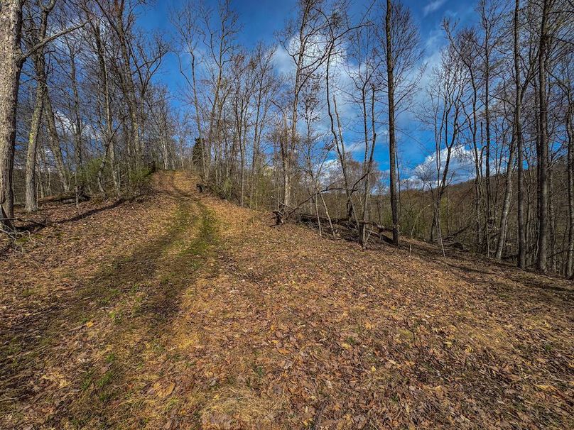 Wirt, WV 156.941 AC Full-21