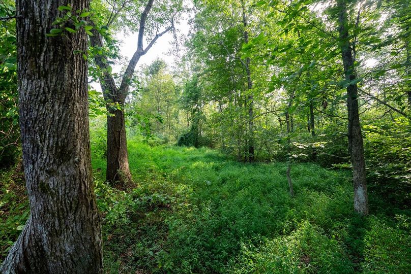 Copy of DSC06221 Large