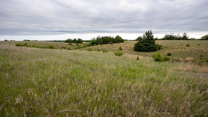DSC00960