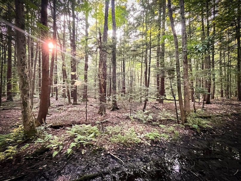 Oswego_25.66_Pettit_Photos_42