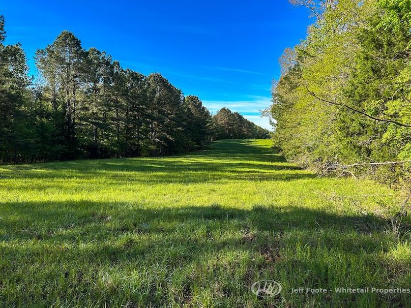 Hinds Co - 51 - Hughes-59