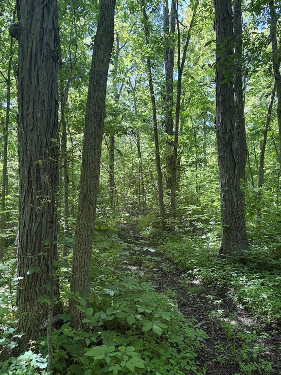trail 10